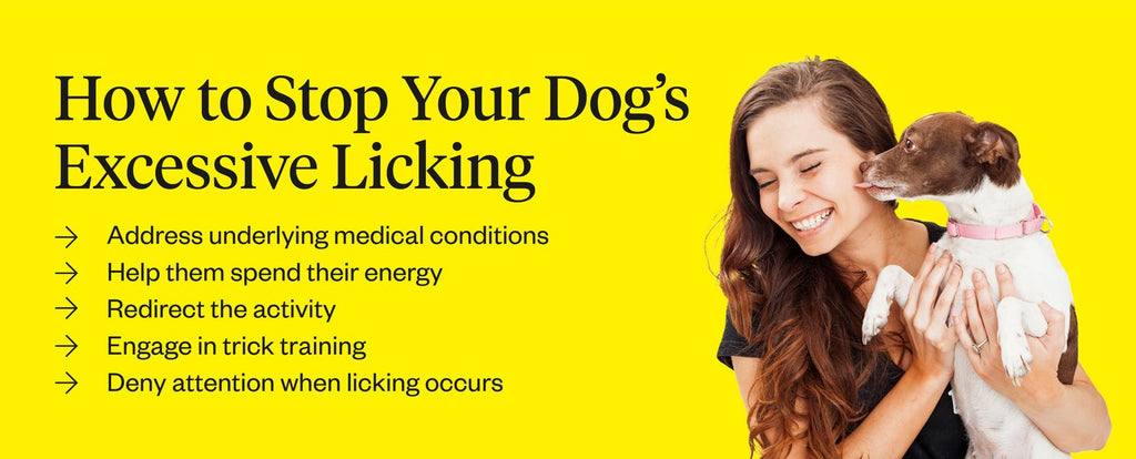 How to Manage Excessive Licking in Dogs