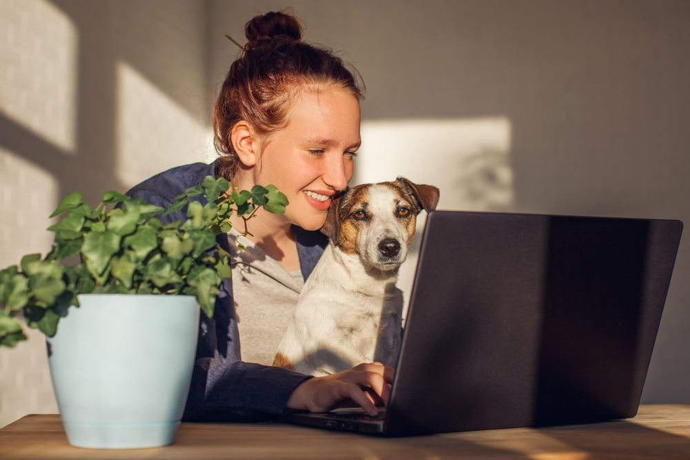 Woman sitting at desk with dog in lap during an online vet consultation