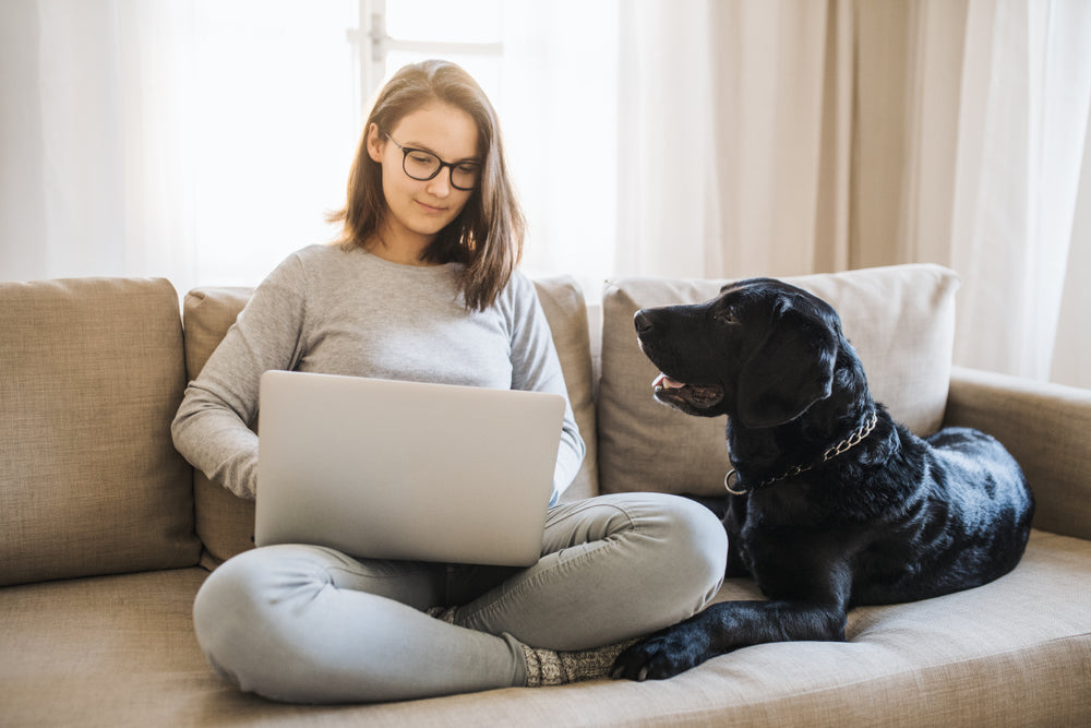 Young woman with glasses looking at laptop sitting on couch next to black labrador retriever
