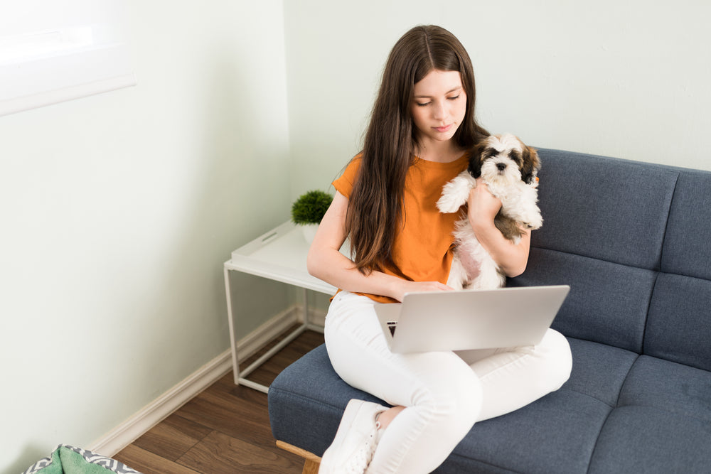 Girl with her lhasa apso