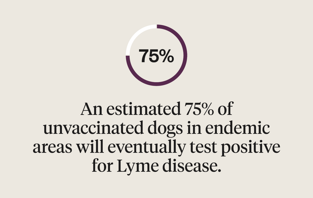 an estimated 75% of unvaccinated dogs in endemic areas will enventually test positive for Lyme disease