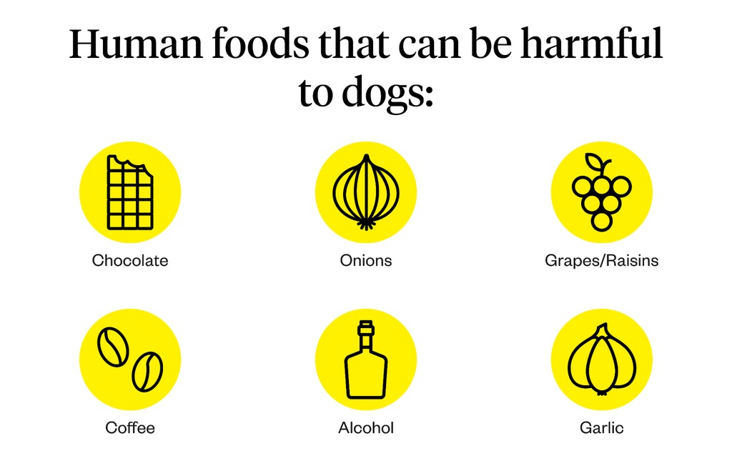 human foods that can be harmful to dogs