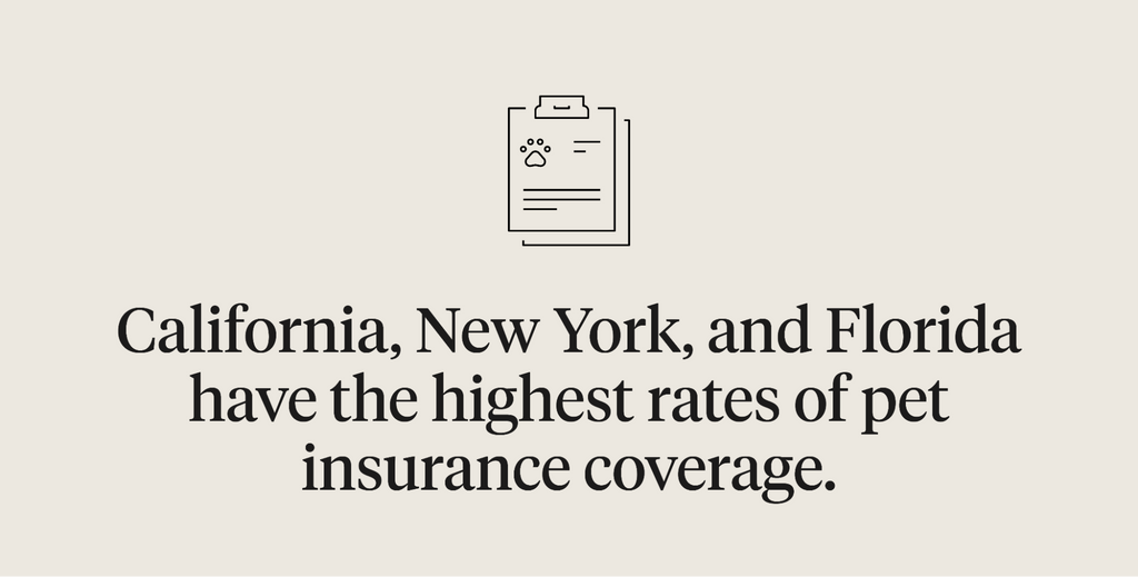 Graphic stating: California, New York, and Florida have the highest rates of pet insurance coverage