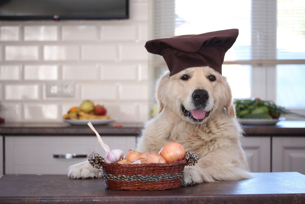 Dog wearing chef hat next to a basket of allium plants