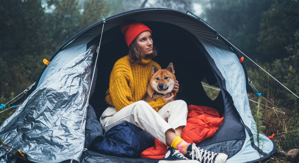 Camping With Dogs: How To Safely Camp With Your Pet | Dutch