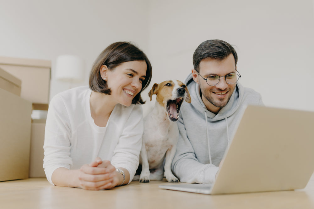 Dog sitting between owners during an online vet consultation