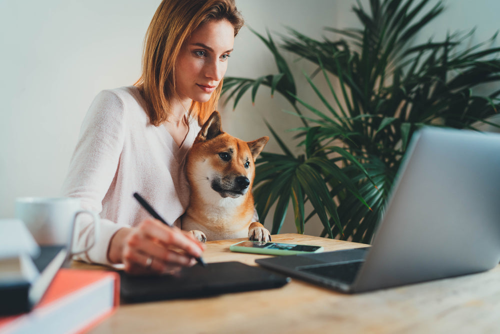 Woman looking at laptop researching dog STDs with her dog on her lap