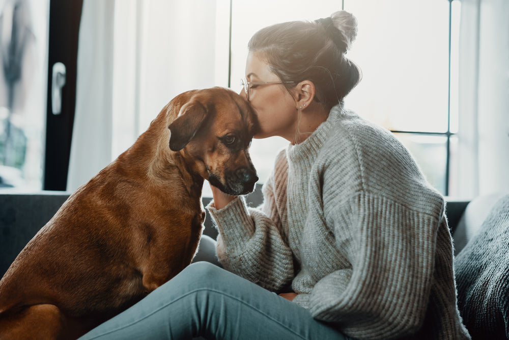 Woman comforting sick dog by kissing its head