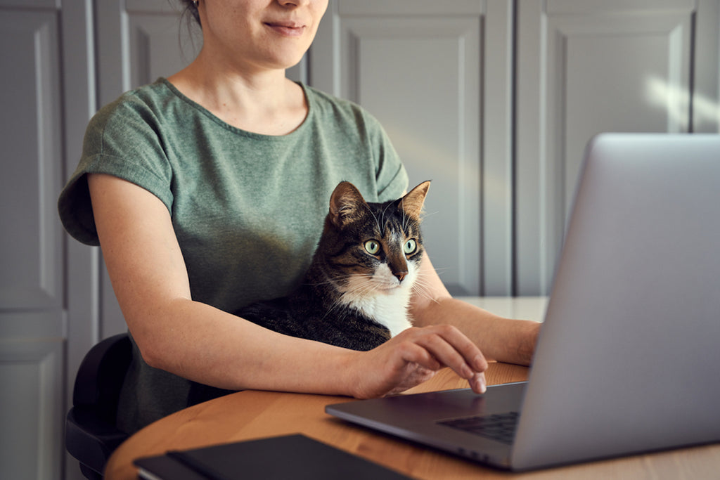 Cat owner and cat sitting in front of laptop for a veterinary telemedicine appointment