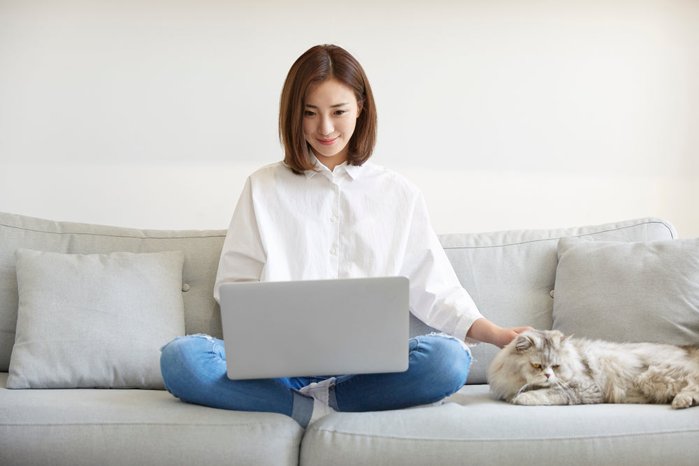 Young Asian woman petting cat while looking at laptop before an online veterinary consultation