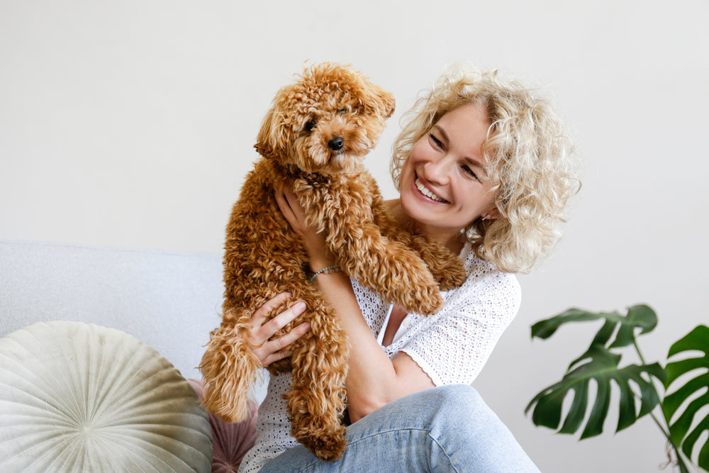 Poodle and owner