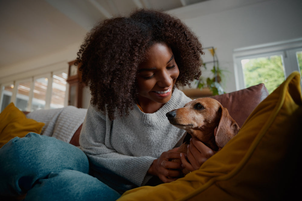 Pet owner cuddling with dog