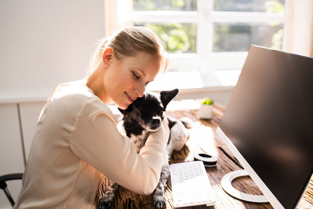 Blonde woman hugging her dog that is sitting on her desk