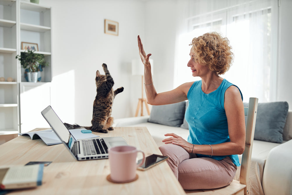 Middle aged woman working at laptop, making high-five motion at her cat holding its paw up