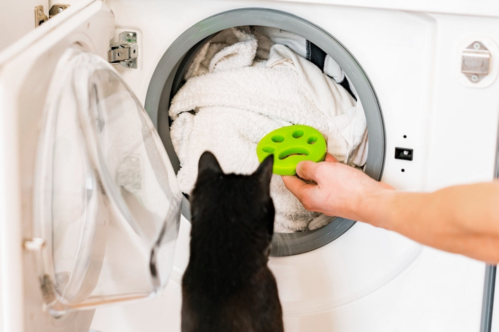 Cat owner putting cat toy into washing machine while black cat watches