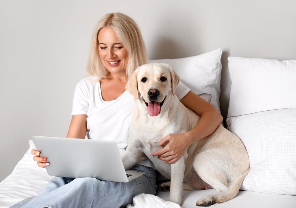 Blonde woman sitting on bed looking at her laptop during online vet consultation, sitting next to her labrador retriever