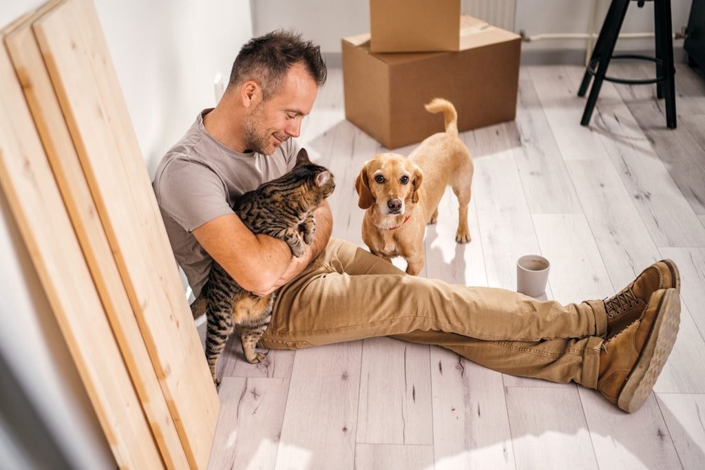 Man holding his cat while sitting on floor next to dog after moving