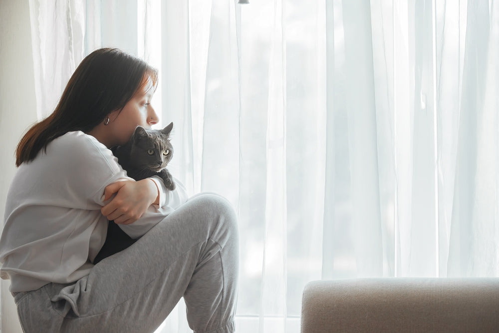 Young Hispanic woman sadly looking out window while holding her cat