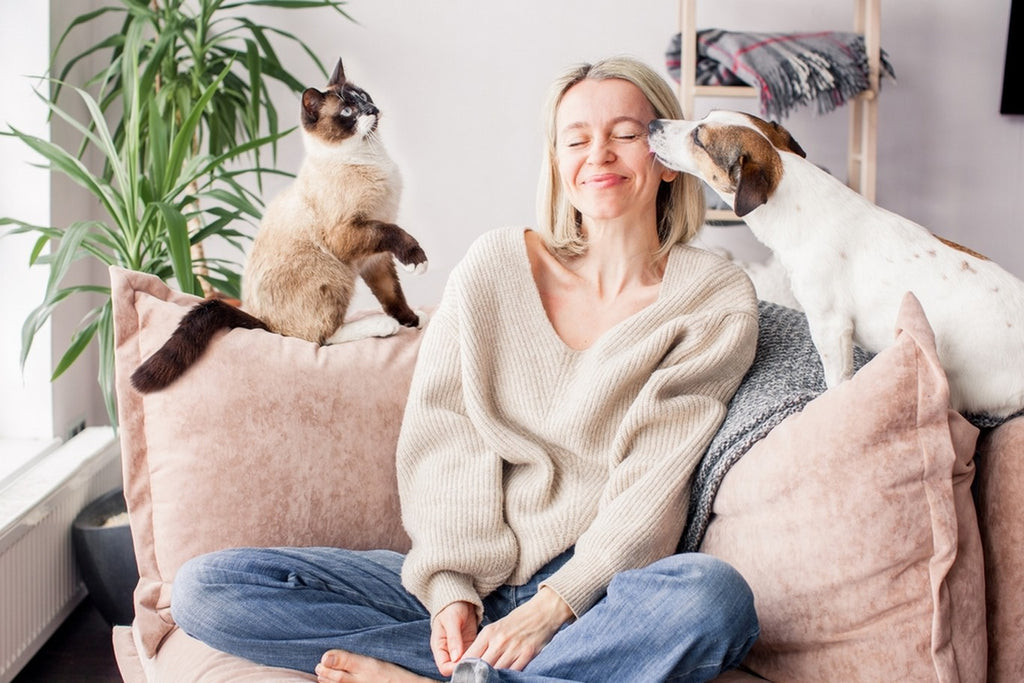 Happy pet owner on couch with dog and cat