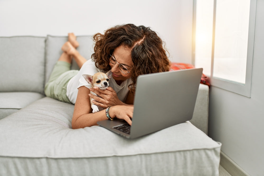 Middle aged Hispanic woman on laptop for an online vet consultation, small dog sitting with her