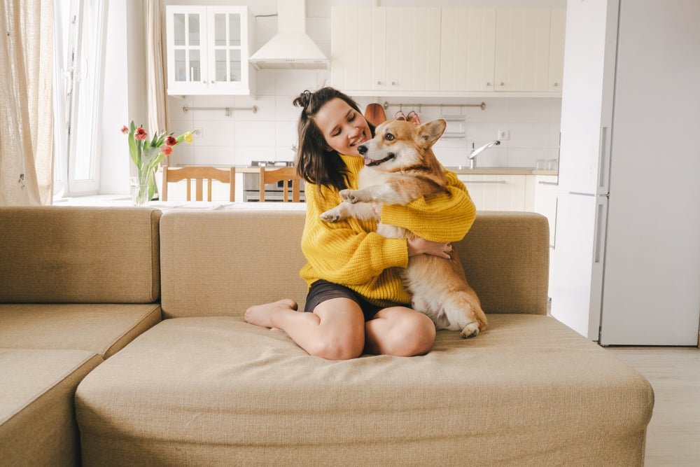 Young woman holding her corgi on couch