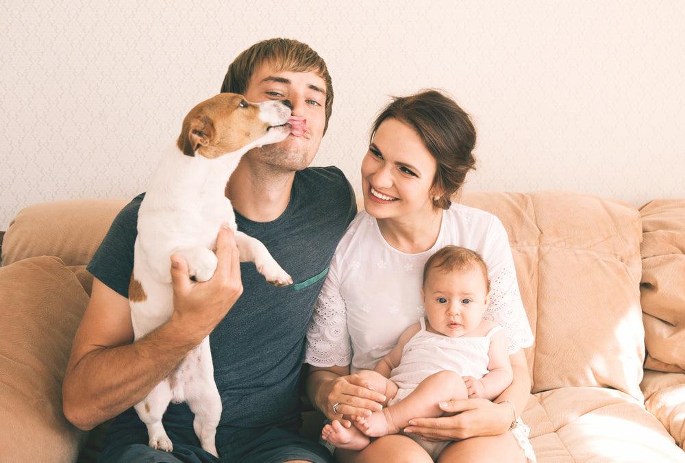 Mom holding baby while dad holds dog, introducing the two