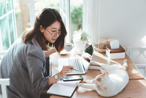 Young Asian woman sitting at desk with laptop, playing with cat during an online veterinary consultation