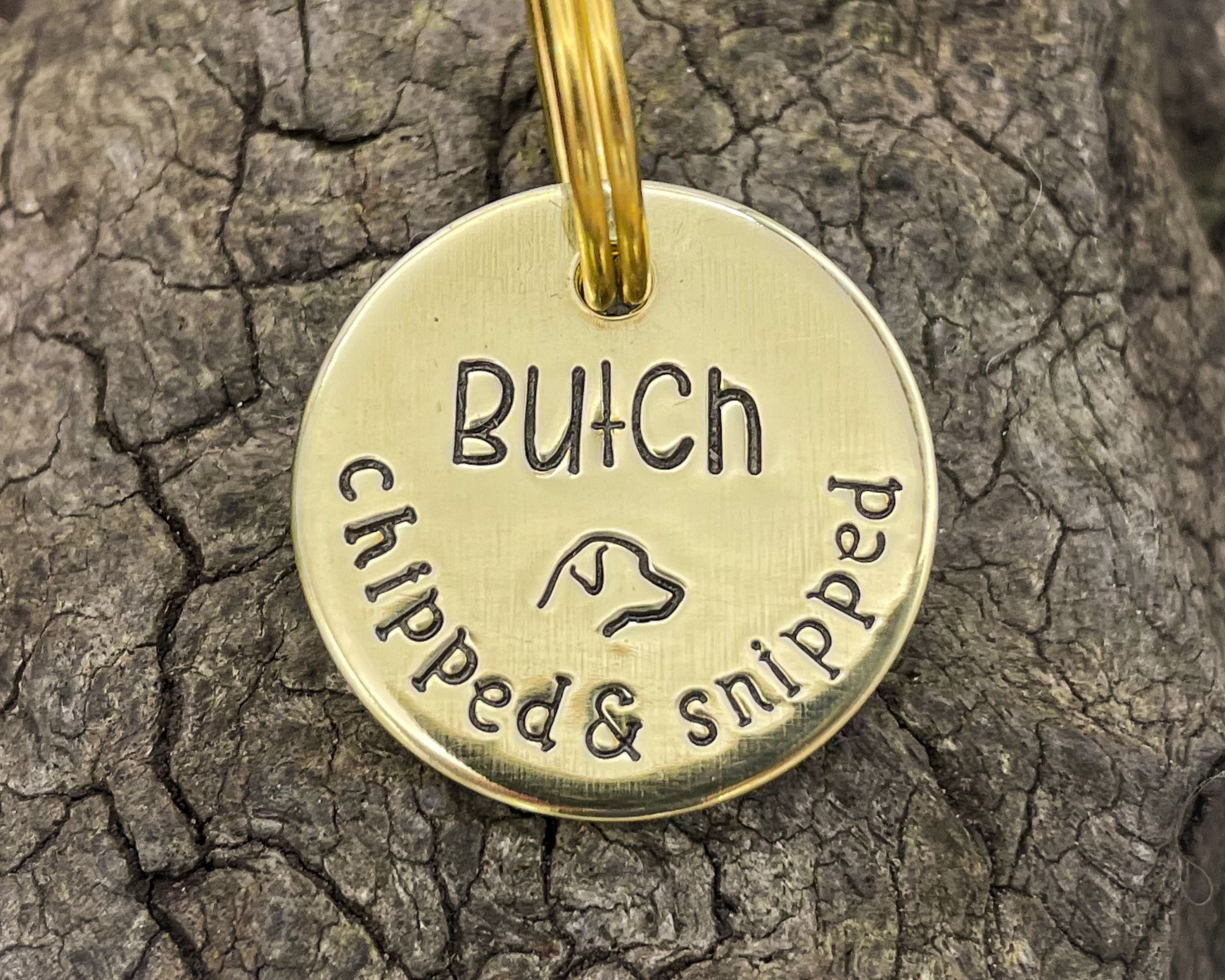 New Halloween Dog Tags And More! – Waggy Pooch