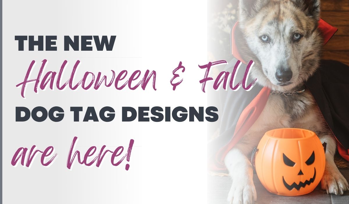 New Waggy Pooch Halloween and Fall dog tag designs 2023