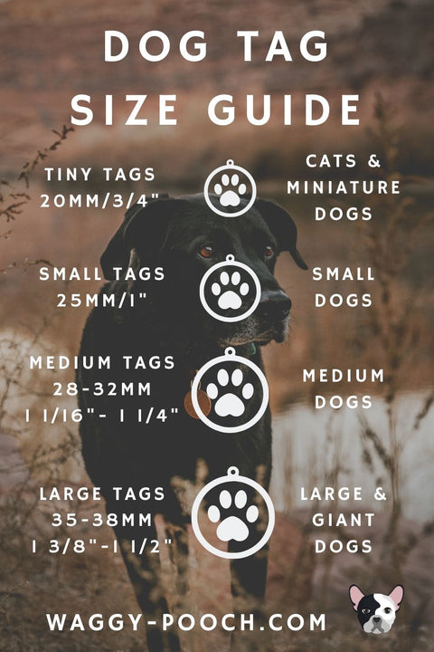 dog tag size guide