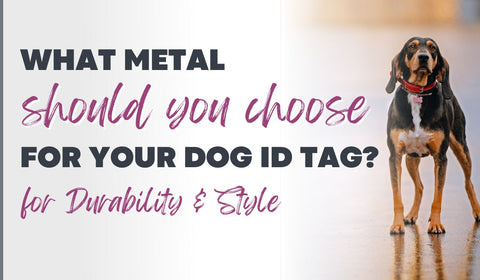what metal should you choose for your dog tag