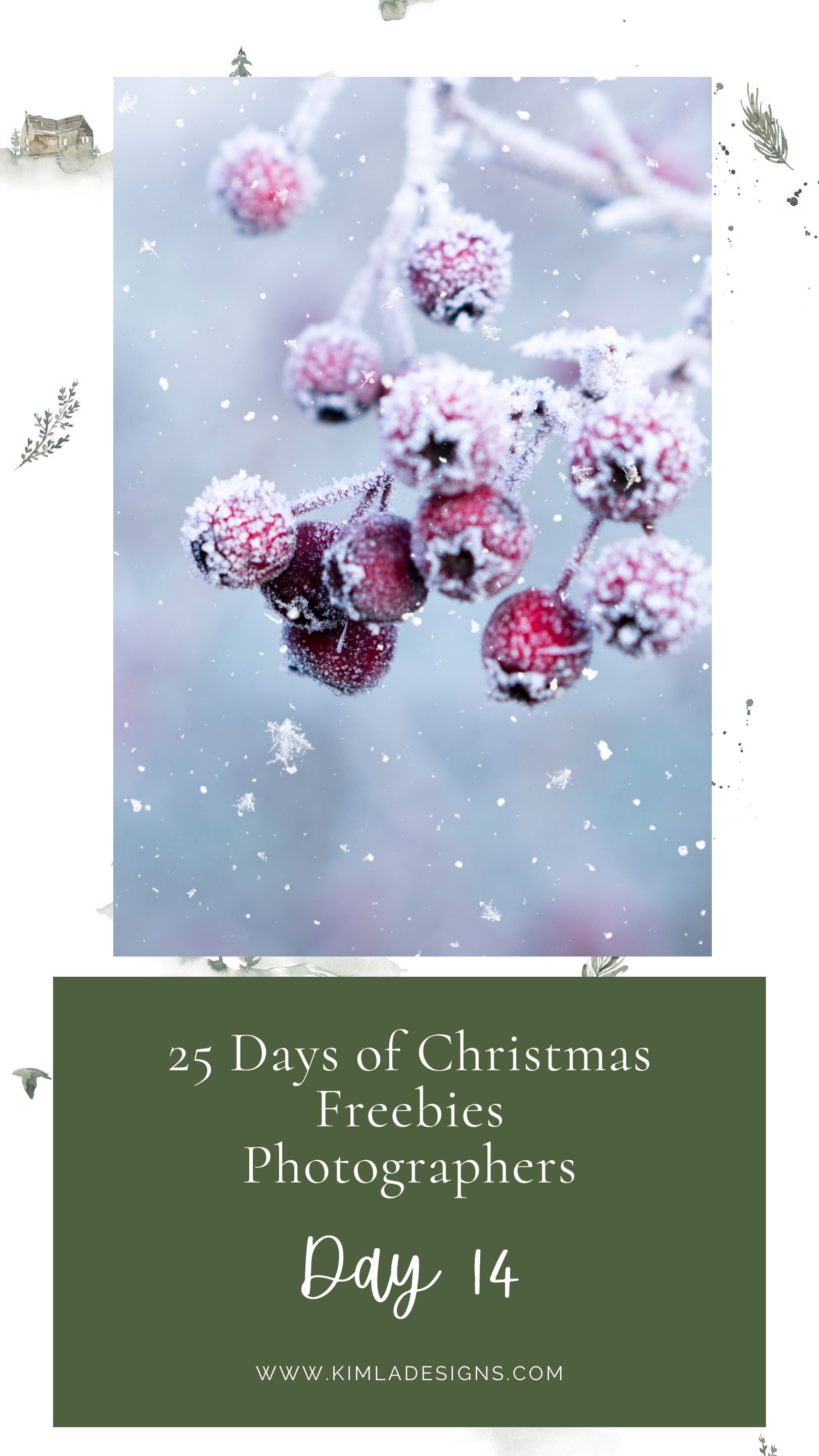 25 Days Of Christmas Freebies Day 14th Kimla Designs Photography