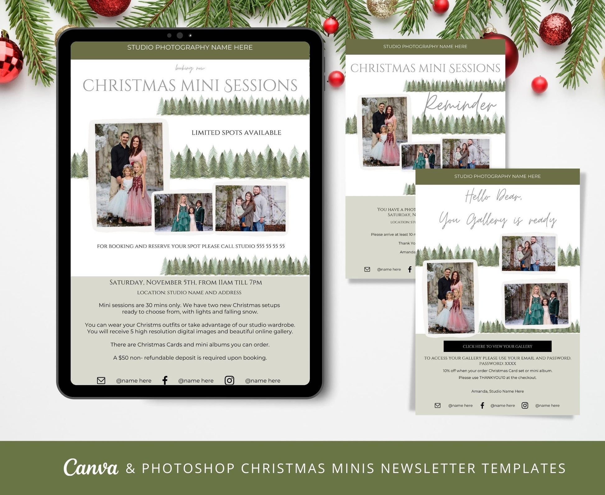 winter holiday newsletter template