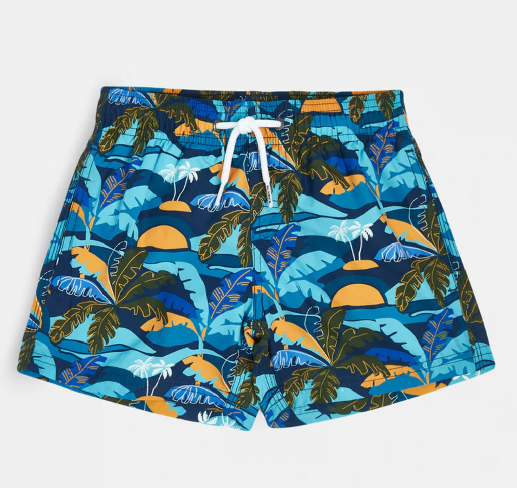 Mola Mola Men's Ocean Lane Swim Shorts