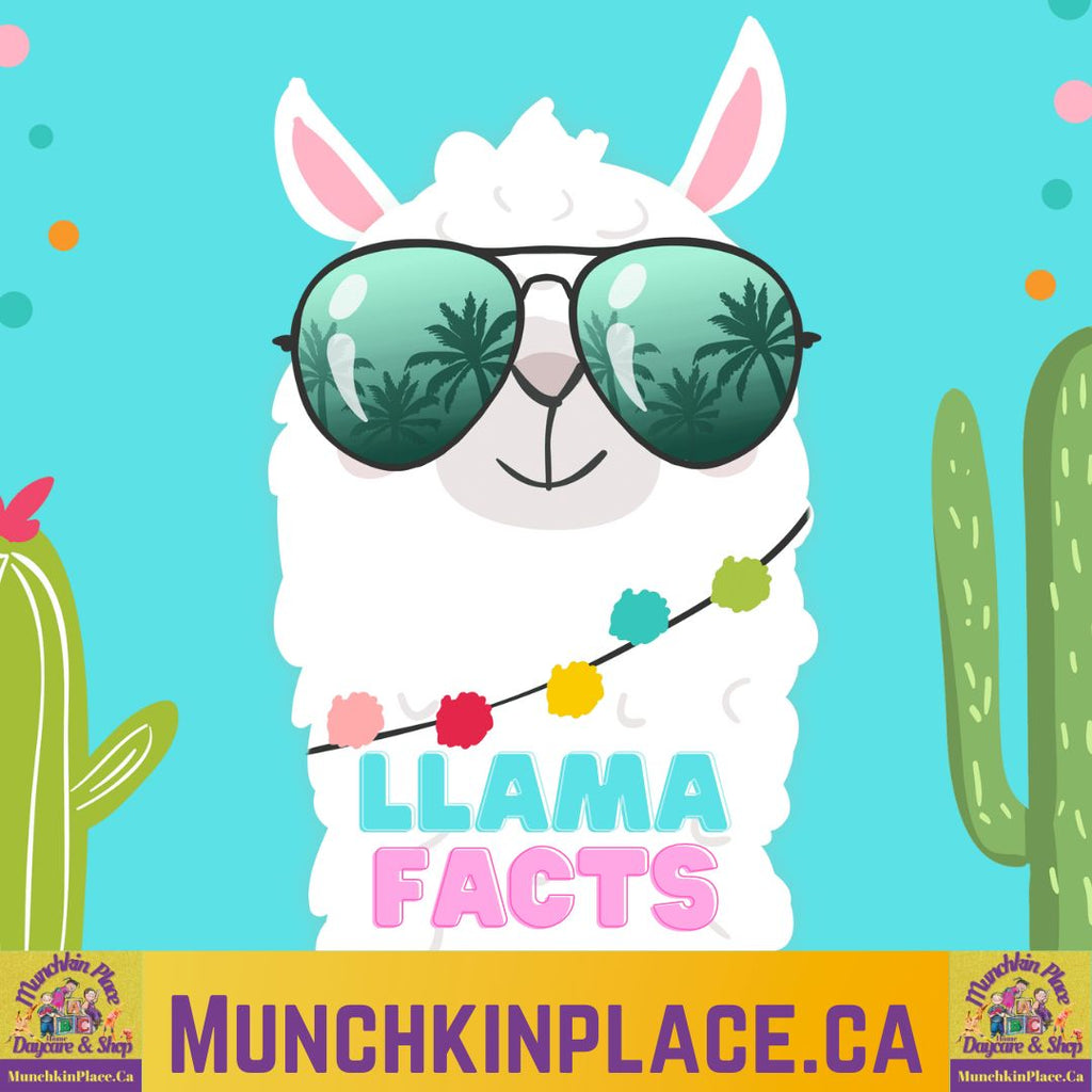 llama facts