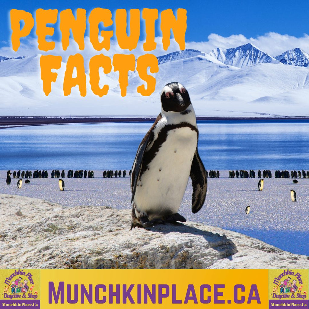 penguin facts