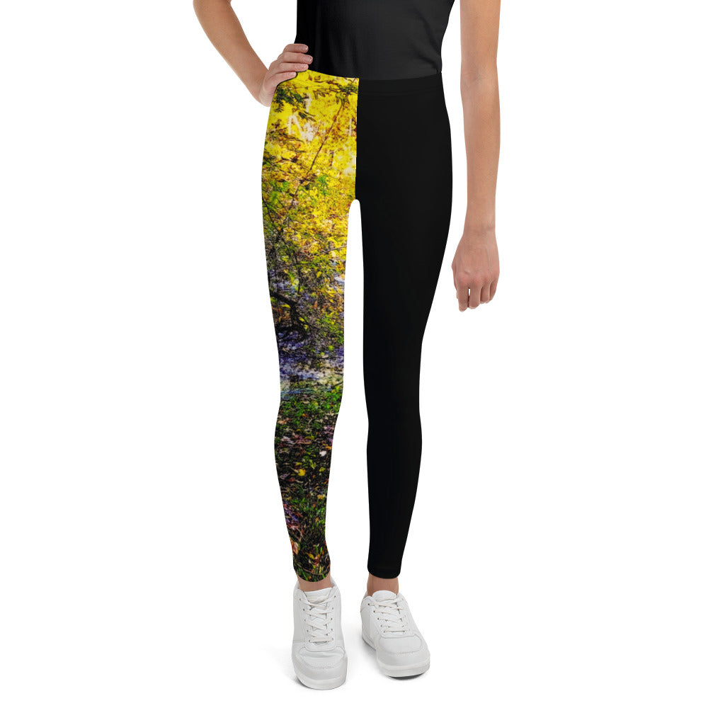 Dream Plus Size Leggings – Munchkin Place Shop