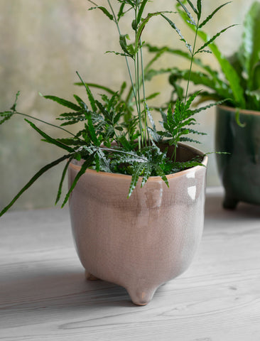 ceramic plants pots