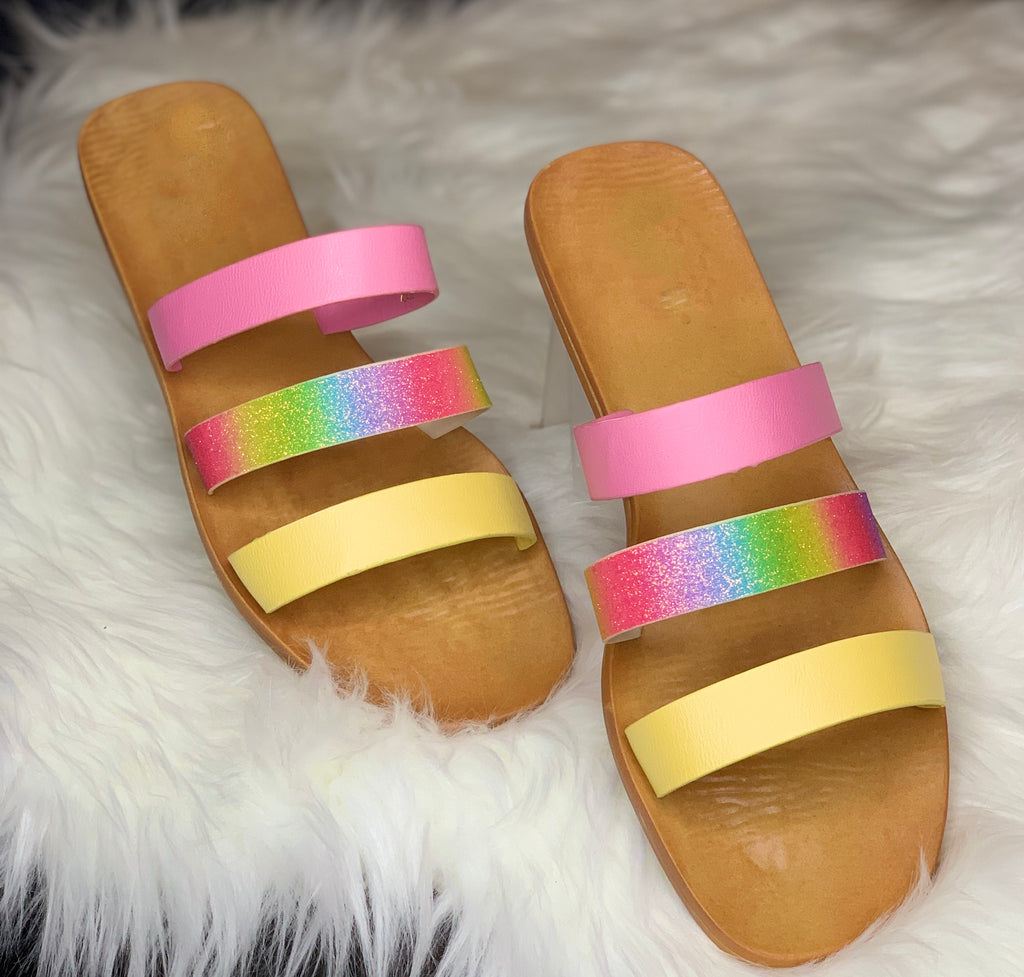 Multi Color Rainbow Slides – J & B’s Fancy Feet