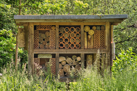 Bee Bug Hotel