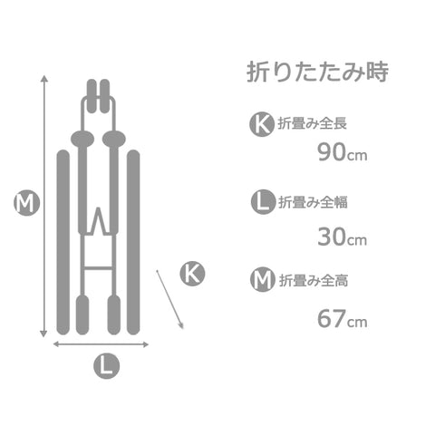 サイズ