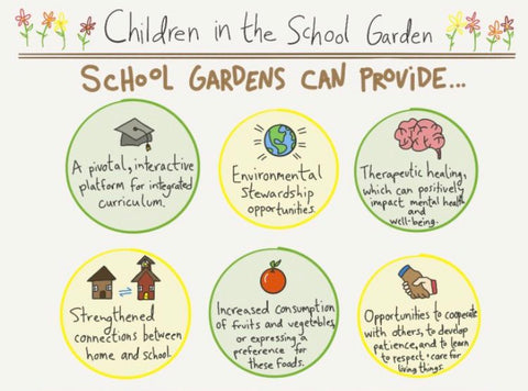 Benefits of school gardens 