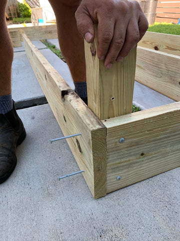 attaching carriage bolts to the corner posts of a new raised bed for vegetable gardening made of pressure treated pine.