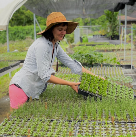 Plant science at the dinner table: peaches - 4-H Plants, Soils & Gardening