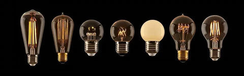 festoon light bulbs