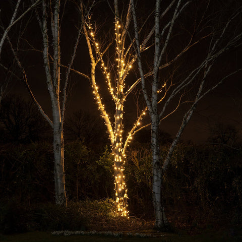 outdoor fairy lights 