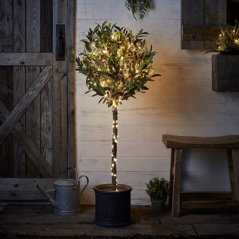 fairy lights