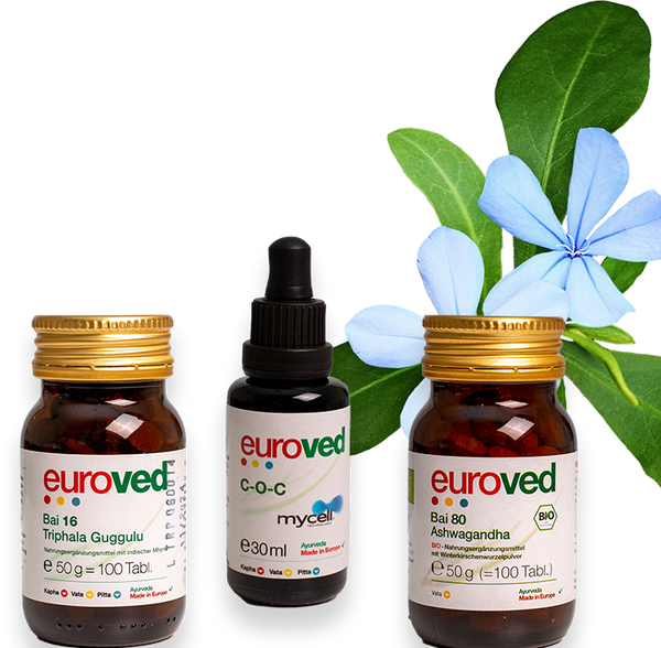 Euroved im Ayurveda Paradies