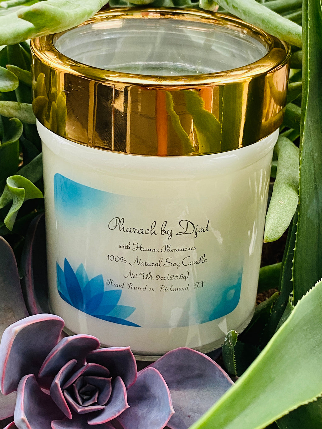 Cactus Flower and Jade Soy Candle Vegan Candle Natural Soy Wax Candle – SMG  Scentual Creations