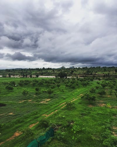 Little Farm Co Farmland in Khajuraho, MP